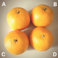 心理測試：你覺得哪個橘子最酸，測你的生活中最缺什麼