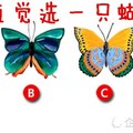 心理測試：憑直覺選只蝴蝶，測今生你在哪方面歷劫？是情劫or金錢