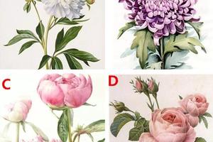 心理測試：選一個喜歡的花卉，測這輩子你還會被一見鍾情嗎