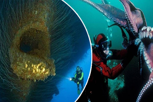 潛水員在深海發現這15種「巨型物」！一看才相信原來深海是如此震撼和恐怖！
