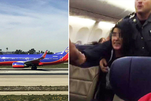女乘客沒做錯任何事卻無故被「請下飛機」，之後所發生的事讓她對航空公司感激涕零！