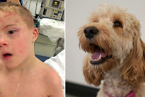 5歲唐氏症男孩被「反鎖在烘乾機內」，家中愛犬「這樣做」救了他一命！