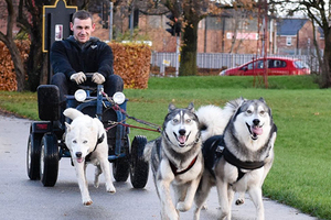 25歲狗主人將Go-Kart改成「像雪橇的小拖車」給三隻哈士奇，牠們還真的以為在拉雪橇…