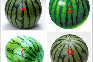 心理測試：你覺得哪個西瓜最好吃？測你現在的幸福指數有多高！