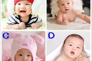 心理測試：選一個最可愛的寶寶，測測你在古代是什麼人？