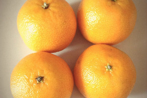 心理測試：你覺得哪個橘子最酸，測你的生活中最缺什麼