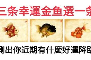 心理測試：三條幸運金魚選一條，測出你近期有什麼好運降臨！