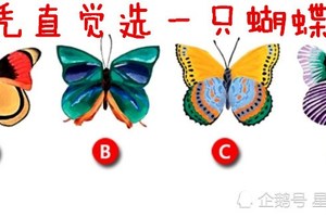 心理測試：憑直覺選只蝴蝶，測今生你在哪方面歷劫？是情劫or金錢