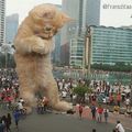 宛如哥吉拉！「巨大喵星人」誤闖大城市　一腳踩死街道行人