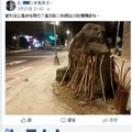 棍子擺路邊要幹嘛？謎底揭曉大家全猜錯