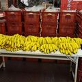 館長收購1萬斤香蕉　霸氣開放「所有民眾都可領」