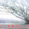 關於人生的二和三！寫的太經典了！ 