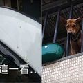 演員車頂「遭尿尿」！凶手探頭察看被發現　對方卻不斷裝傻