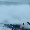 影／死亡全紀錄！男子海邊自拍　一個大浪打來3人剩2人