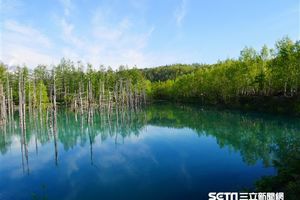 日版忘憂森林！北海道湛藍青池襯雪山　彷彿置身歐洲