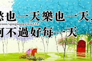 愁也一天樂也一天，何不過好每一天