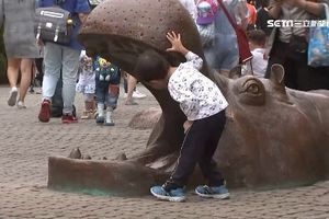 動物園「河馬」紅了！台雕塑紅到國外