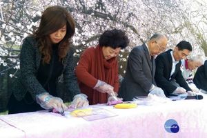 南投花卉嘉年華踏雪尋梅系列活動 信義鄉23日