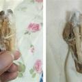 女大生搬新家睡不好 枕頭下遭藏邪物