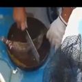 被細菌蛀到全空…男殺魚劃傷指甲　手臂驚見成群「黑洞」