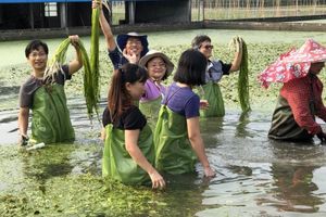 來去美濃當農夫！感受滇緬異國風