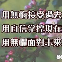 宮本晴明的頭貼