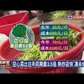 換季菜價飆 空心菜成本貴3.5倍