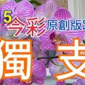 10/15 今彩539  獨支專車   請點圖看看  !