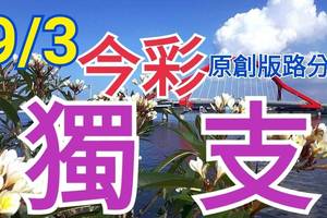 9/3 今彩539  獨支專車  請點圖看看  !