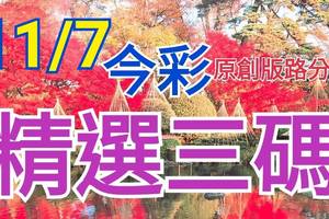 11/7 今彩539 精選三碼 三中一 請點圖看看 !