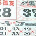 12月30日539（孤隻，專車，採柱碰，本期強尾，主副支）參考看看。