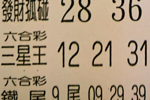 11月4日六合彩（六合彩鐵尾，發財孤碰，尾數王，坐專車，三中一）參考看看。