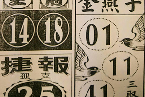 12月9日六合彩（版路精選，重點提示，金燕子，捷報）參考看看。