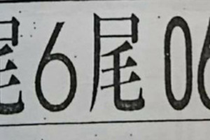 12月19日六合彩（本期單尾，三中一，八卦吉數，電腦三星，拼孤碰）參考看看。