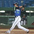 冬盟／曾陶鎔開轟4打點　中職13比7擊退日職西