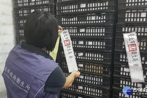 快訊！芬普尼毒蛋流向北市，衛生局查封破萬蛋，仍有「壞蛋」流出，憂心民眾早已「食毒」
