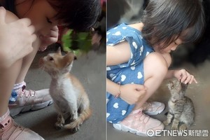 畫面好暖～妹妹和小貓溫柔對視　媽感動：愛貓孩子不會變壞