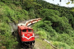 快訊／以行車安全為前提　阿里山森鐵3/12起繼續停駛3個月！