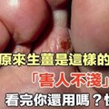 原來生薑是這樣的禍根？「害人不淺」，看完你還用嗎？快存！