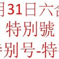 六合10月31日六合彩特別號參考-特别号-特码参考