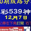 [今彩539神算] 12月7日 3支 10期版路分析