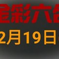 ◆金彩六合◆六合彩 12月19日連開孤支版路 （1）