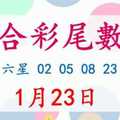 六合彩尾數王 1月23日 上期中六星 02 05 08 23 24 34 版路預測版本2 準13進14 不斷版