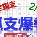 2月1日 六合彩爆報 孤支爆報 鎖定獨支 版路