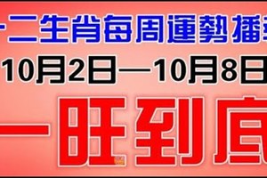 【和你分享頻道】十二生肖每週運勢播報十二生肖每週運勢播報（10月2日—10月8日）