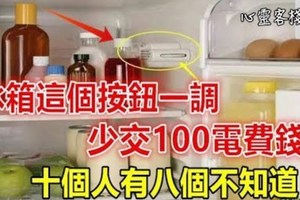 冰箱這個按鈕一調，少交100電費錢，十個人有八個不知道！