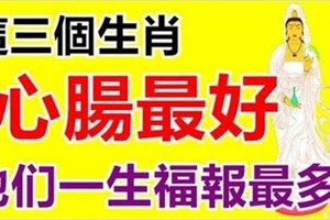 心腸最好，這三個生肖一生福報最多，尤其是12月！