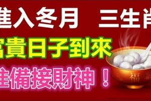 進入冬月，這三個生肖富貴日子到來，准備接財神