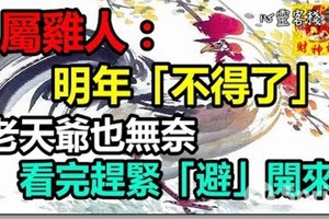 屬雞人：明年「不得了」，老天爺也無奈！看完趕緊「避」開來