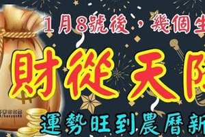 1月8號後，財從天降，偏財大旺，運勢旺到農曆新年的幾個生肖